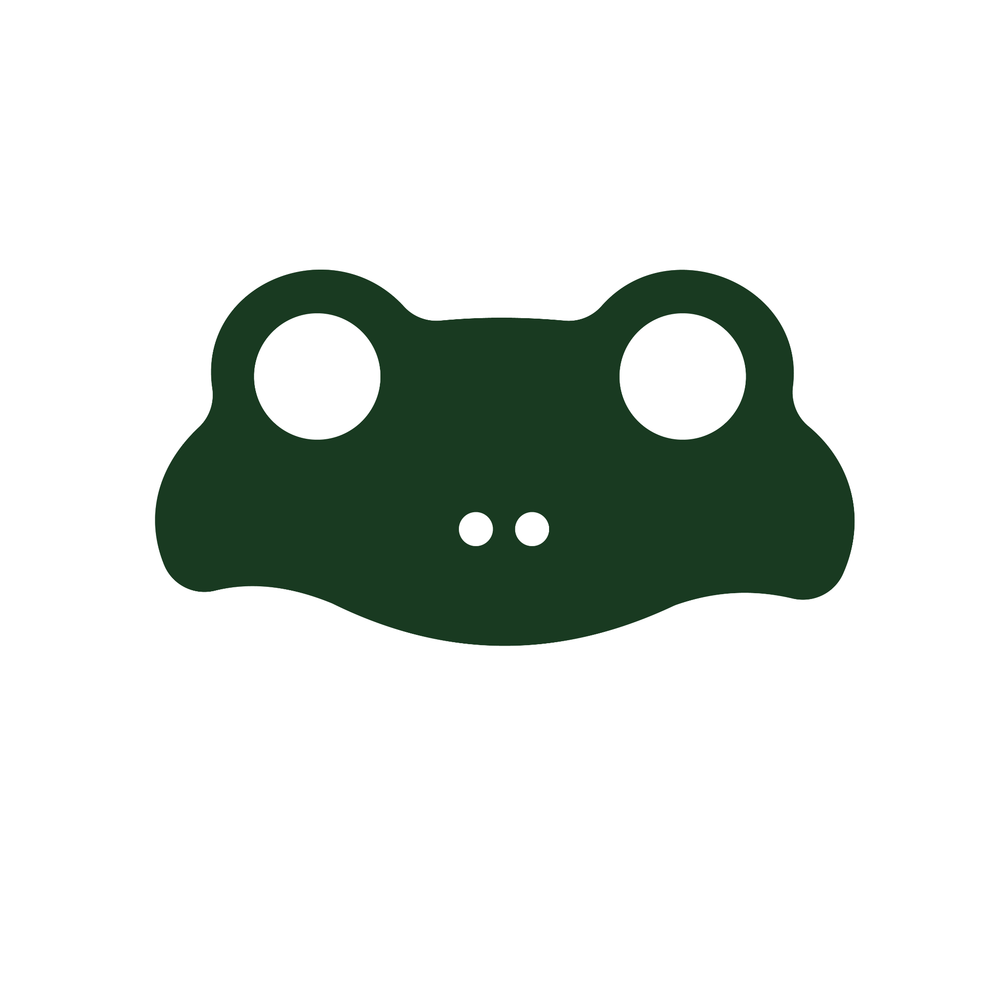 decorative frog